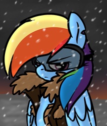 Size: 900x1052 | Tagged: safe, artist:artsygum, artist:j5furry, rainbow dash, pony, g4, clothes, female, goggles, jacket, serious face, snow, snowfall, solo