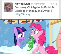 Size: 511x451 | Tagged: safe, edit, edited screencap, screencap, gummy, pinkie pie, twilight sparkle, g4, bath, bathtub, florida man, hilarious in hindsight, text, twitter