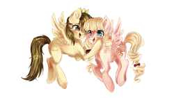 Size: 1920x1080 | Tagged: dead source, safe, artist:chocori, oc, oc only, oc:dream whisper, oc:prince whateverer, pegasus, pony, simple background, white background