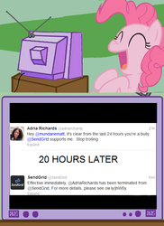 Size: 562x770 | Tagged: safe, pinkie pie, g4, donglegate, exploitable meme, text, tv meme, twitter