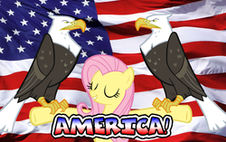 Size: 872x546 | Tagged: safe, artist:lord4536, fluttershy, bald eagle, eagle, g4, american flag, trio, united states