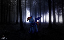 Size: 1280x800 | Tagged: dead source, safe, artist:chevrolet-evilimpala, rainbow dash, pony, g4, ponies in real life, vector