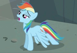 Size: 924x640 | Tagged: safe, screencap, rainbow dash, pegasus, pony, g4, may the best pet win, female, mare, mid-blink screencap, solo, stretching