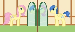 Size: 1400x600 | Tagged: safe, fluttershy, g4, butterscotch, mirror, poison joke, ranma 1/2, tumblr