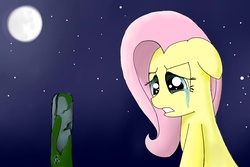 Size: 6000x4000 | Tagged: safe, artist:broniesover9000, fluttershy, g4, grave, sad, solo