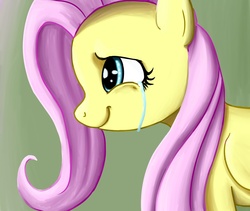 Size: 1279x1080 | Tagged: safe, artist:pfantzypantz, fluttershy, g4, crying