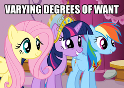 Size: 500x356 | Tagged: safe, fluttershy, rainbow dash, twilight sparkle, g4, big crown thingy, image macro, reaction image, varying degrees of want