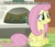 Size: 500x432 | Tagged: safe, fluttershy, pony, g4, dat ass, dat assershy, female, image macro, lip bite, meme, solo