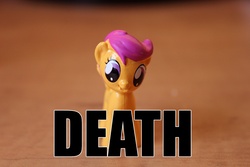 Size: 1440x960 | Tagged: safe, scootaloo, g4, female, image macro, irl, phidal, photo, toy