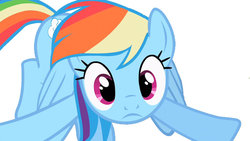 Size: 900x507 | Tagged: safe, artist:kmanderson62, rainbow dash, pegasus, pony, g4, female, looking at you, mare, solo