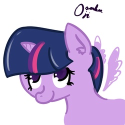 Size: 1000x1000 | Tagged: safe, artist:osakaoji, twilight sparkle, alicorn, pony, g4, 30 minute art challenge, female, mare, twilight sparkle (alicorn)