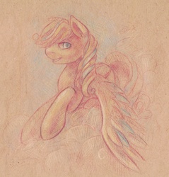 Size: 1457x1521 | Tagged: safe, artist:somepony77212, oc, oc only, pegasus, pony, cloud, cloudy, portrait, solo, traditional art