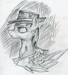 Size: 416x458 | Tagged: safe, artist:foxda, oc, oc only, oc:calamity, pegasus, pony, fallout equestria, black and white, dashite, fanfic, fanfic art, grayscale, hat, hooves, male, monochrome, portrait, sketch, solo, spread wings, stallion, traditional art, wings