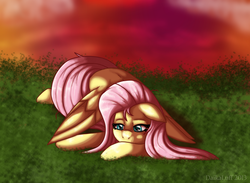 Size: 942x688 | Tagged: safe, artist:daikaluff, fluttershy, pegasus, pony, g4, female, lying down, mare, solo