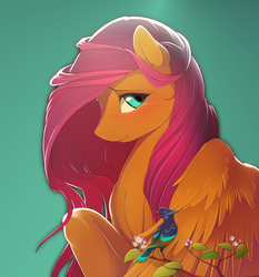 Size: 1008x1080 | Tagged: dead source, safe, artist:antiander, artist:shawnyall, edit, fluttershy, bird, pegasus, pony, g4, blushing, bust, female, green background, large wings, looking at you, mare, raised hoof, simple background, solo, spread wings, wings