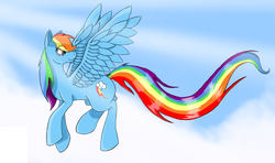 Size: 1280x758 | Tagged: safe, artist:pokemonfreak01, rainbow dash, g4, full body, large wings, long tail, looking back, side view, solo, spread wings, tail, wings