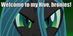 Size: 1035x521 | Tagged: safe, queen chrysalis, changeling, g4, bronybait, caption, eyes, hypnosis, hypnosis ponies, image macro