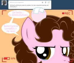 Size: 1236x1057 | Tagged: safe, artist:shinta-girl, oc, oc only, oc:shinta pony, ask, spanish, tumblr