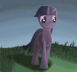 Size: 1300x1200 | Tagged: dead source, safe, artist:20percentcool, twilight sparkle, g4, front view, full body, grass, solo, standing