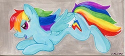 Size: 735x330 | Tagged: safe, artist:jenkiwi, rainbow dash, pegasus, pony, g4, female, mare, solo, traditional art