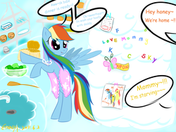 Size: 1024x768 | Tagged: safe, artist:xcopyen002, rainbow dash, oc, g4, apron, canon x oc, clothes, housewife, offspring, tomboy taming, waifu