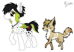 Size: 524x370 | Tagged: artist needed, source needed, safe, oc, oc only, pegasus, pony, wolf