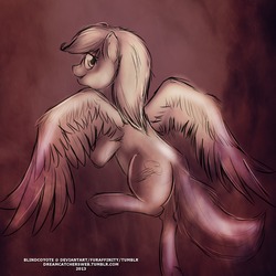 Size: 1280x1280 | Tagged: safe, artist:blindcoyote, rainbow dash, g4, 30 minute art challenge