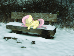Size: 2560x1920 | Tagged: safe, artist:colorfulbrony, fluttershy, g4, bench, irl, photo, ponies in real life, snow