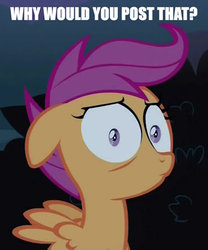 Size: 369x444 | Tagged: safe, scootaloo, pony, g4, sleepless in ponyville, female, reaction image, solo, why would you post that