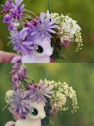 Size: 500x667 | Tagged: safe, sweetie belle, g4, brushable, floral head wreath, flower, irl, photo, toy