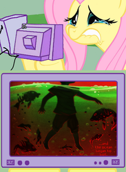 Size: 563x771 | Tagged: safe, fluttershy, fish, g4, ava's demon, computer, exploitable meme, fluttercry, gil marverde, tv meme