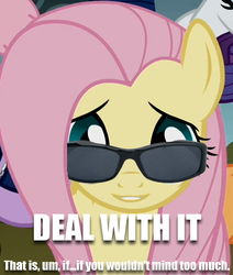 Size: 337x397 | Tagged: safe, fluttershy, g4, deal with it, image macro, sunglasses