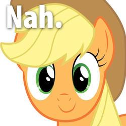Size: 500x500 | Tagged: safe, applejack, earth pony, pony, g4, female, image macro, looking at you, mare, no, reaction image, simple background, solo, white background