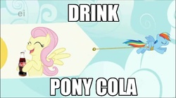 Size: 1028x573 | Tagged: safe, edit, fluttershy, rainbow dash, g4, image macro, product placement, soda