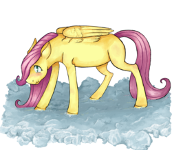 Size: 1008x882 | Tagged: safe, artist:6ghost, fluttershy, g4, cloud, filly, scrunchy face