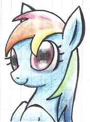 Size: 522x710 | Tagged: safe, artist:icognito-chan, rainbow dash, g4, bust, closed mouth, eyes open, portrait, smiling, solo, traditional art