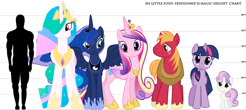 Pony Size Chart