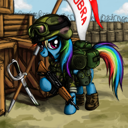 Size: 1080x1080 | Tagged: safe, artist:myminiatureequine, rainbow dash, pony, g4, ak-47, assault rifle, backpack, banner, crate, female, goggles, gun, helmet, looking at you, military, rifle, soldier, solo, sword, trench, weapon