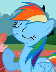 Size: 439x564 | Tagged: safe, screencap, rainbow dash, pegasus, pony, g4, may the best pet win, scrunchy face
