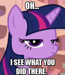 Size: 350x401 | Tagged: safe, twilight sparkle, pony, g4, female, i see what you did there, image macro, meme, solo