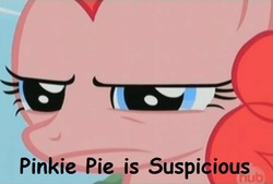 Size: 516x348 | Tagged: safe, pinkie pie, g4, comic sans, image macro, suspicious