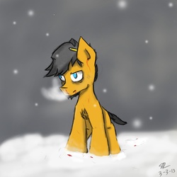 Size: 2500x2500 | Tagged: safe, artist:srogerss1, oc, oc only, pony, blood, snow, snowfall, solo, tired