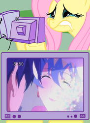 Size: 511x700 | Tagged: safe, fluttershy, g4, crying, exploitable meme, fluttercry, nia teppelin, poignant, simon, spoilers for another series, tengen toppa gurren lagann, tv meme