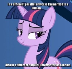 Size: 558x531 | Tagged: safe, edit, edited screencap, screencap, twilight sparkle, pony, friendship is magic, g4, female, image macro, solo