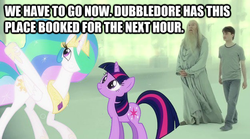 Size: 625x347 | Tagged: safe, princess celestia, twilight sparkle, alicorn, human, pony, unicorn, g4, albus dumbledore, daniel radcliffe, female, harry potter, harry potter (series), image macro, male, mare, unicorn twilight