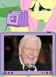 Size: 365x500 | Tagged: safe, fluttershy, g4, exploitable meme, fluttercry, implied death, meta, richard griffiths, tv meme