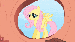 Size: 500x281 | Tagged: safe, edit, edited screencap, screencap, fluttershy, pegasus, pony, g4, season 1, sonic rainboom (episode), animated, caption, cute, female, gif, golden oaks library, happy, image macro, lifted leg, mare, motivational, positive ponies, raised hoof, reaction image, shyabetes, solo, spread wings, standing, window, wings, woohoo, you rock