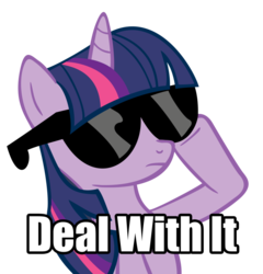 Size: 900x937 | Tagged: safe, twilight sparkle, g4, deal with it, image macro, sunglasses