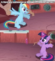 Size: 541x596 | Tagged: safe, rainbow dash, twilight sparkle, double rainboom, g4, caption, image macro, roflbot, text