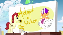 Size: 744x414 | Tagged: safe, artist:flamingo1986, scootaloo, chicken, earth pony, pegasus, pony, double rainboom, g4, billboard, butt, exploitable meme, helmet, male, meme, mouth hold, plot, pun, scootachicken, scootacrash, stallion